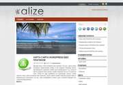 Встречайте: замечательная тема для Wordpress «Alize»