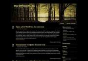 Сделайте уникальным дизайн своего сайта! Новая тема для Wordpress - «Black view»