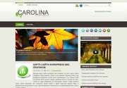 Предлагаем вашему вниманию: современная тема для Wordpress «Carolina»! Эта премиум тема - лучшее, что можно разработать для вашего сайта.
