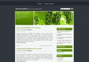 Сделайте дизайн своего сайта особым! Современная тема для Wordpress - «Green Grapes»