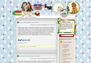 «My Satisfied Dogs» - это отличная тема для Wordpress. Ваш сайт поможет найти информацию для любителей домашних питомцев? Значит понадобится данный шаблон для WordPress.